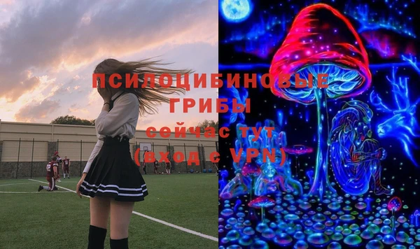 не бодяженный Абаза