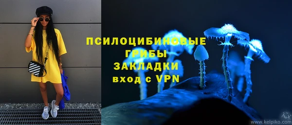 2c-b Алексин