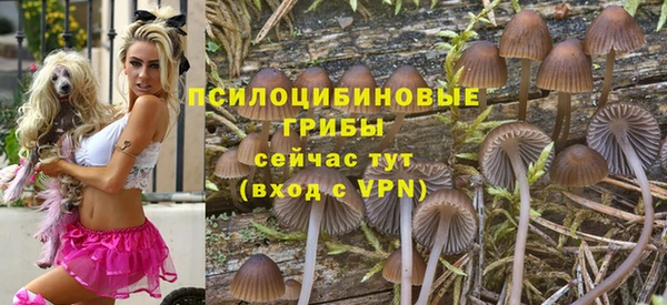 молекула духа Абинск