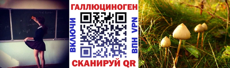 Псилоцибиновые грибы ЛСД  Челябинск 